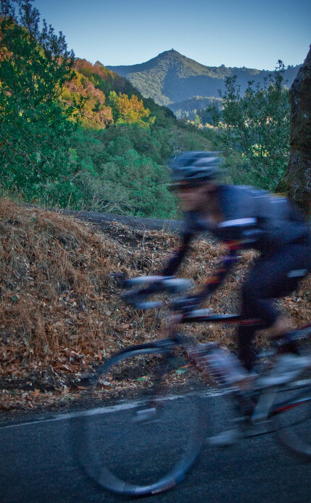 36 views of mount tamalpais Nathan Johnson